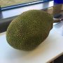 jackfruit